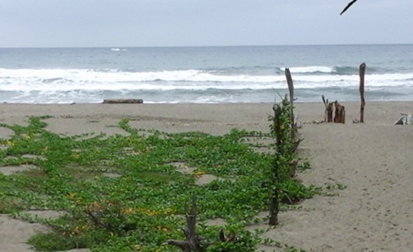 Las Tunas, Ecuador